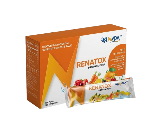 Gemini_Generated_Image_xnch8qxnch8qxnch-removebg-preview